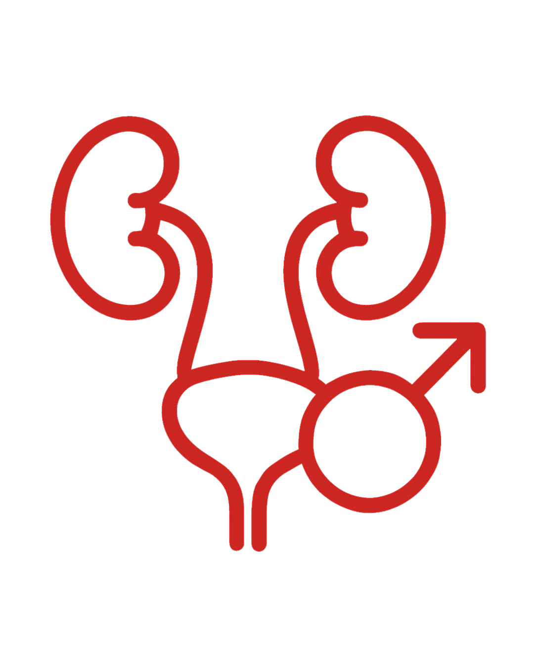 Urology Hospital in Mathura