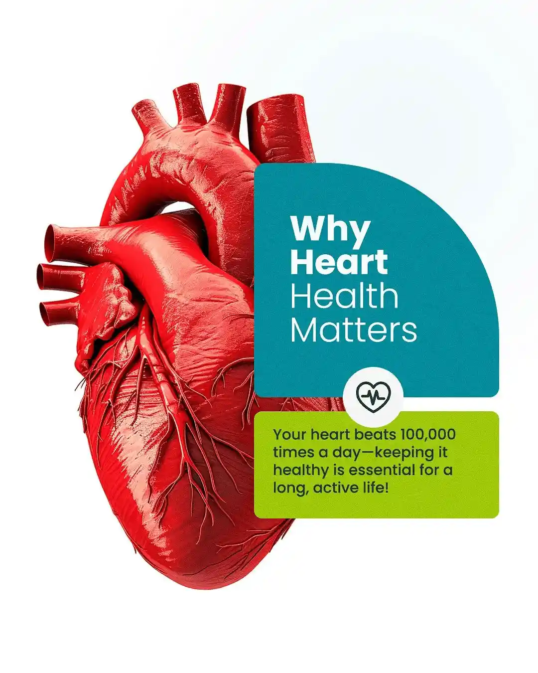 Heart Health Check-up Packages